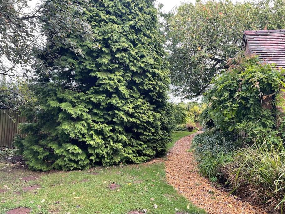 The Big Cosy Boudoir Bed + Hot Tub Apartment Harvington Exterior photo